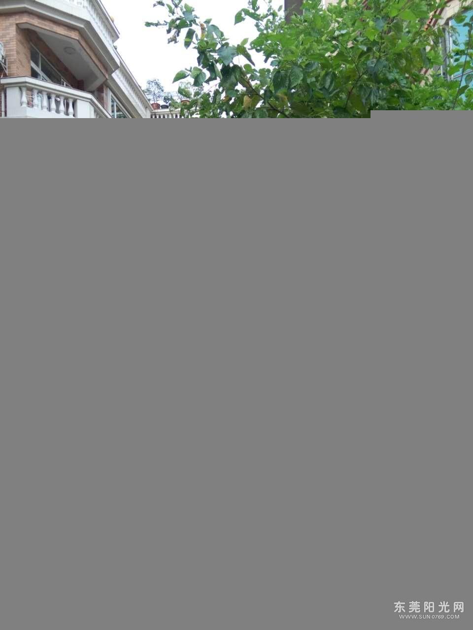 星河城旁别墅私宅招租 9间房 带车库 环境好 可