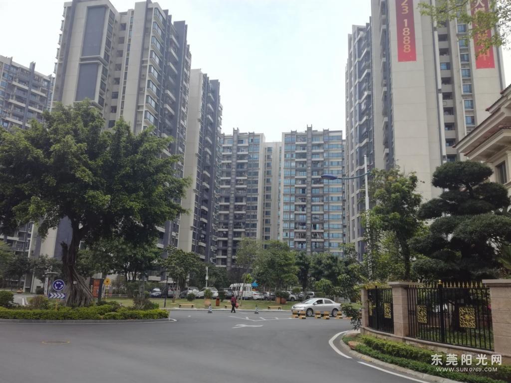 不发虚假房源松湖碧桂园 交通便利 精装3房