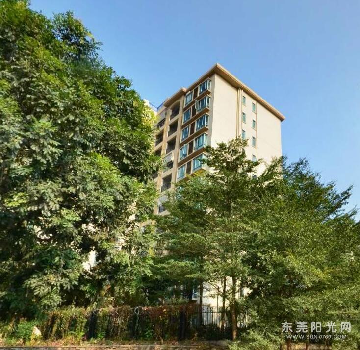 地段繁华 楼  盘:金椅豪园  区镇:莞城  物业地址:东莞市企石镇东江