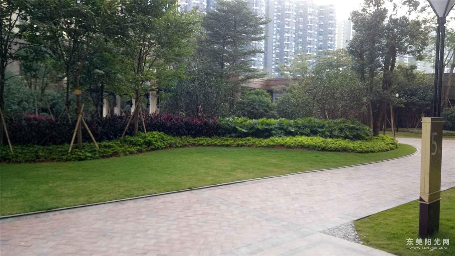 鼎峰尚境三期急售舒适三房,朝南向花园,底价格转手