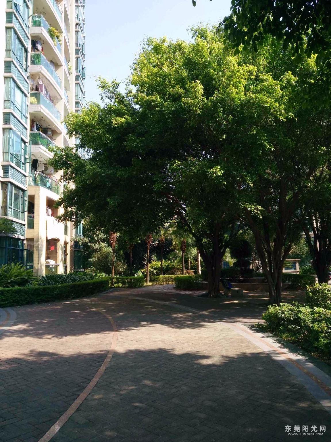 房产频道 二手房 > 楼盘详情  经纪人自述 蔚蓝星湖二期,别称叫星慧庭